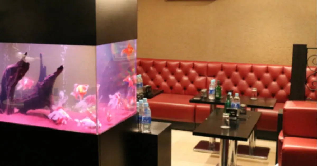 津田沼クラウン（LOUNGE CROWN）のメインフロアを撮影した店内内装