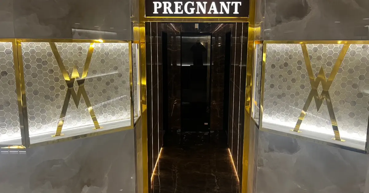 千葉富士見町プレグナント(girls Bar Pregnant)のエントランスを撮影した店内内装